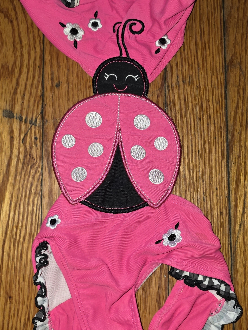 Joe Boxer Hot Pink Ladybug One-Piece Swimsuit